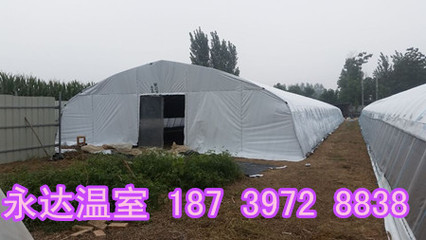 运城大棚建设公司山西晋城食用菌温室大棚搭建造价
