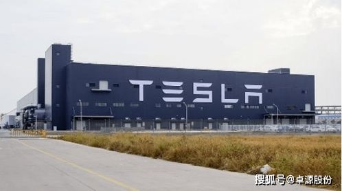 马斯克抛绣球 特斯拉第五座工厂或再落地中国