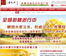 营销型网站建设