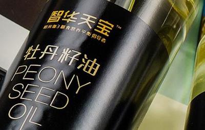 签约潞安集团智华天宝品牌网站建设项目