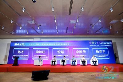 2021中国互联网大会 数字政府论坛在京举办