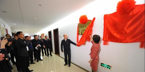 山西省审计厅举行地方金融审计局及国有企业审计局成立揭牌仪式