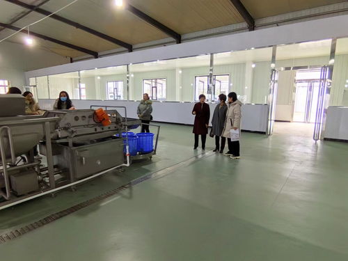 生命科学系参加2023山西省设施蔬菜机械化生产现场观摩会