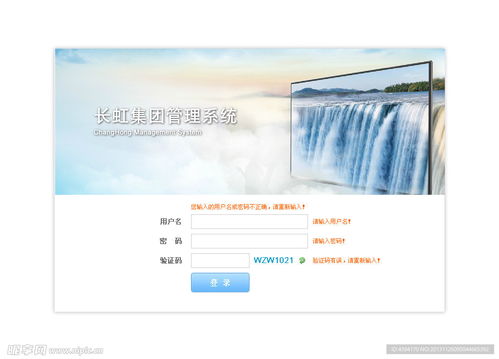 长虹集团管理登录页面设计图 web界面设计