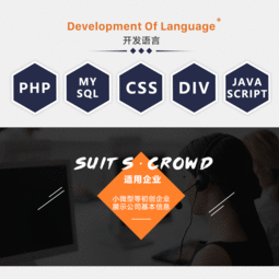 精品企业网站公司网站企业官网公司官网定制开发制作